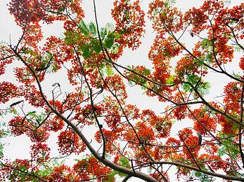 停不下来了？育碧股价又跌了