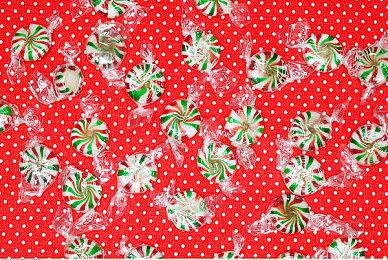 《绝地潜兵2》总监：不必要的DEI会毁了游戏体验