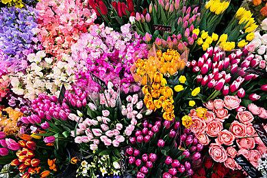 受苏伊士运河堵船事件启发 航行模拟游戏《WHATEVER》上架Steam